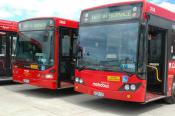 Sydney Buses,  Sydney