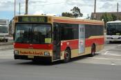 Punchbowl Bus & Coach Co,  Scania,  Sydney