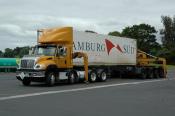 International,  Reliance,  Auckland