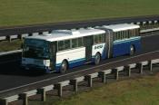 Volvo B10, Bayes Coachlines,  Albany