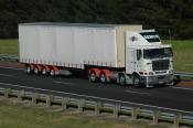International,  Semco,  Albany