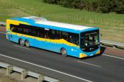 North Star Buses,  Albany