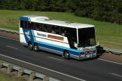 Newmans Northliner,  Albany