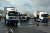 Hookers In Town!  Auckland