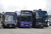 Daf Optare, Volvo, B10, Volvo B12, Partybus