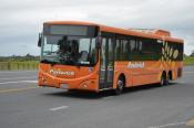 MAN 17.223,  Pavlovich Coaches,  Horotiu