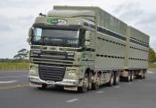 Daf,  Balle Bros,  Horotiu