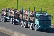 Foden Alpha,  Toll,  Auckland