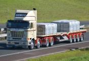 International,  Semco,  Dairy Flat