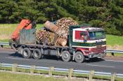 Scania,  Treecare Crane Hire,  Dairy Flat