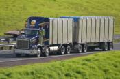 Kenworth,  Td Haulage,  Hamilton