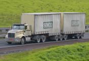International,  Semco,  Dairy Flat