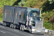 Western Star, Mcdowalls, Manurewa