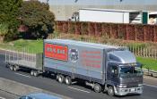 Fuso,  Manakau City
