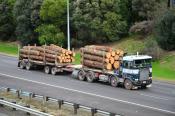 Kenworth,  Trevor Masters,  Wairau Valley