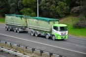 Nissan,  Green Gorilla,  Wairau Valley