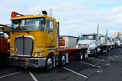 Kenworth & Cats,  Auckland