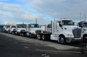 Kenworth & Cats,  Auckland