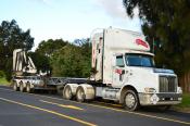 International,  Fresh Fruit,  Auckland