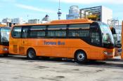 Hengtong Dragon,  Tebara Bus,  Auckland