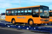 Hengtong,  Sunshine,  Tebara Buses,  Auckland