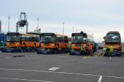 Hengtong Dragon,  Tebara Bus,  Auckland