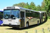 Man Sg220,  Waka Pacific,  Long Bay
