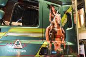 Daf Cf,  Paccar Stand,  The Expo