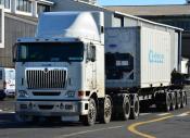 International,  Hallmark,  Auckland