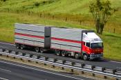 Fuso Shogun,  Te Akau Transport