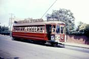 Auckland Trams