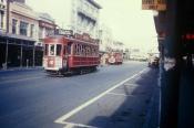 Auckland Trams