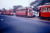 Auckland Trams