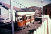 Wellington Trams