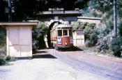 Wellingtom Trams
