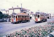 Wellington Trams