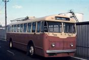 Dunedin Trolloey Bus,