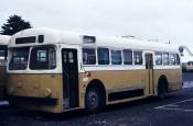 Auckland Trolley Bus