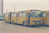 Ikarus  Moscow  