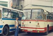 Moscow Buses,
