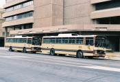 Volvo,  State Transit Athourity,  Adelaide