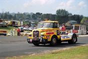 Man,  Pukekohe