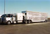 Peterbilt,  Las Vegas
