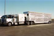 Peterbilt,  Casa Grande