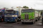 Scania And Peterbilt,  Hopu Hopu