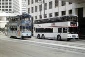 Hong Kong Buses & Trams