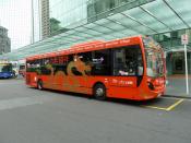 ADL,  Auckland