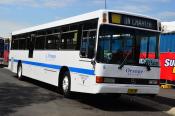 Mercedes,  Orange Buslines.