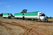 Kenworth,  Dubbo