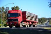 Volvo F16,  Cookies Livestock